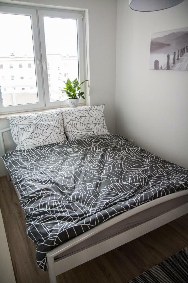 Apartament F&J Stary Toruń Εξωτερικό φωτογραφία